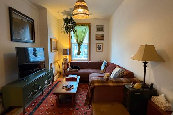 House sit in Montréal, QC, Canada