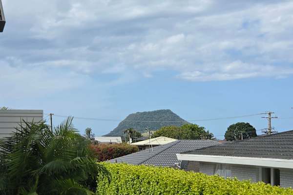 House sit in Tauranga, New Zealand