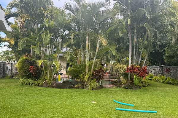 House sit in Kailua, HI, US