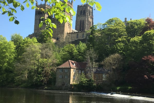 House sit in West Auckland, United Kingdom