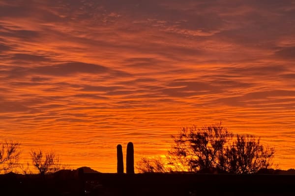 House sit in Catalina Foothills, AZ, US