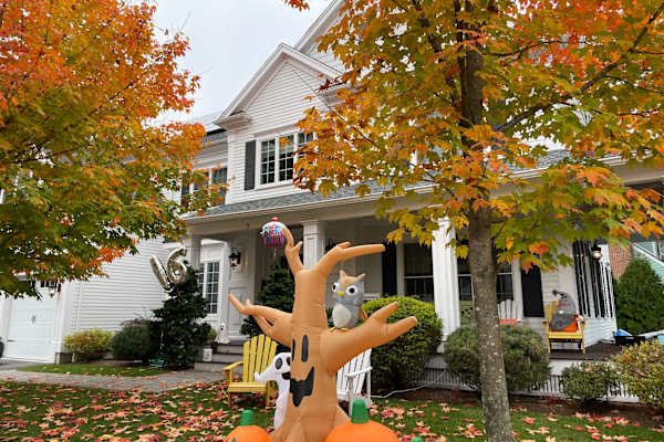 House sit in Needham, MA, US