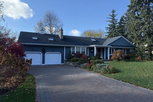 House sit in Burlington, ON, Canada