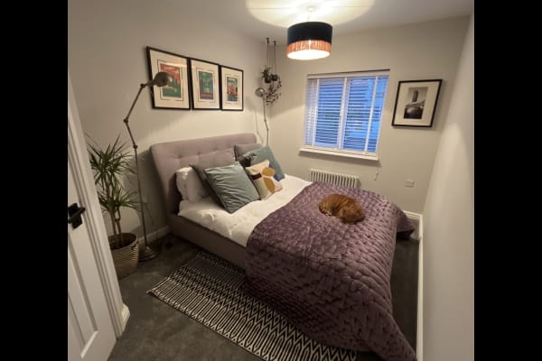 House sit in Glossop, United Kingdom