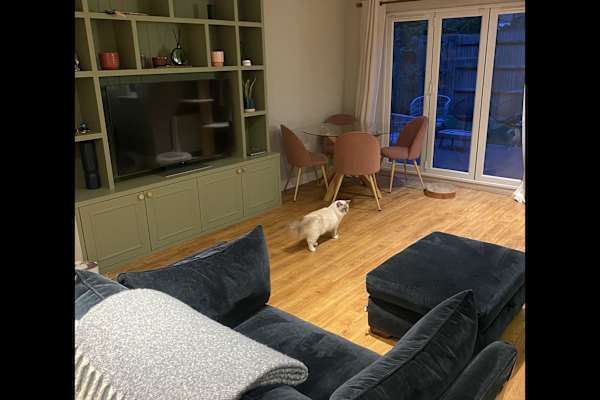 House sit in Streatham, United Kingdom