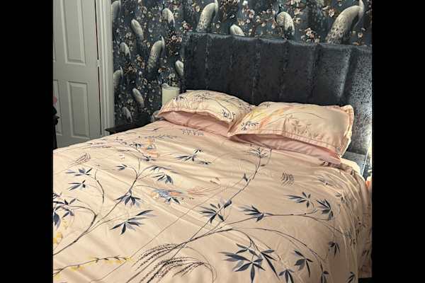 House sit in Glenrothes, United Kingdom