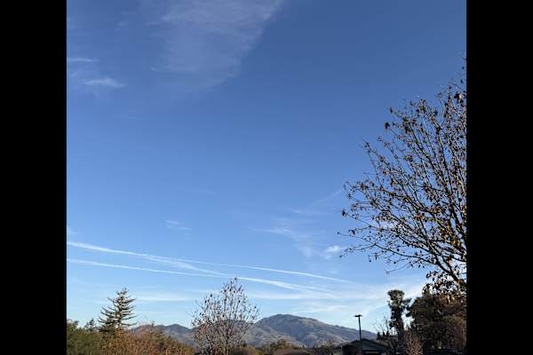 House sit in Walnut Creek, CA, US