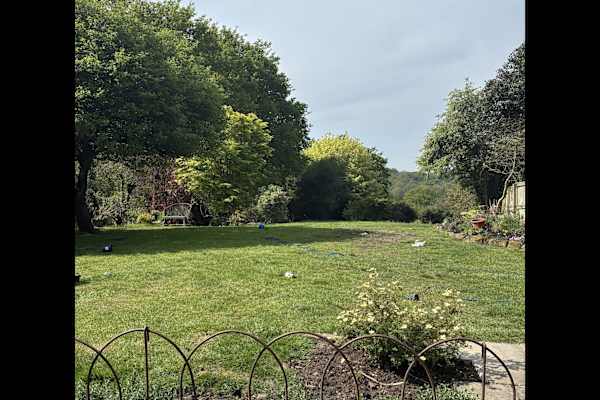 House sit in Shaftesbury, United Kingdom