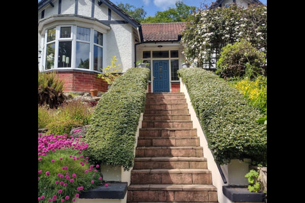 House sit in Scarborough, United Kingdom