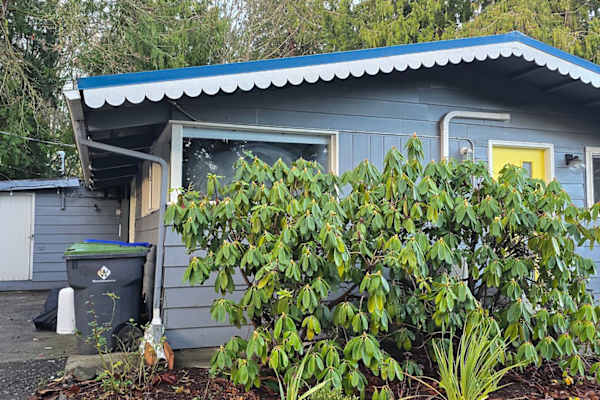 House sit in Sequim, WA, US