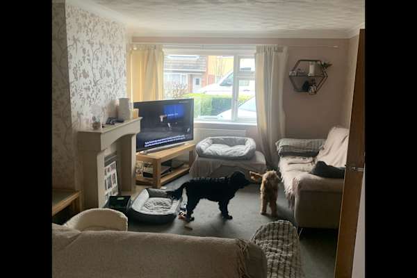 House sit in Sprotbrough, United Kingdom