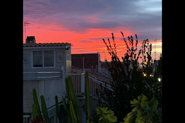 House sit in Torrevieja, Spain