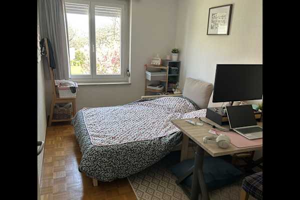 House sit in Thalwil, Switzerland