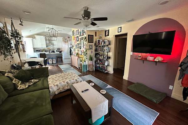 House sit in St. Petersburg, FL, US