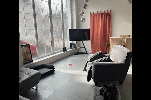 House sit in Kaiserslautern, Germany