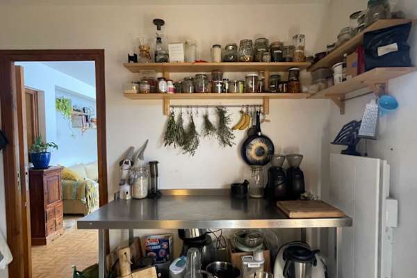 House sit in Morzine, France