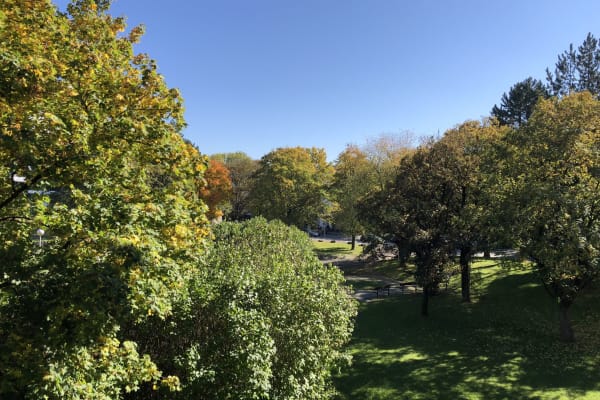House sit in Munich, Germany