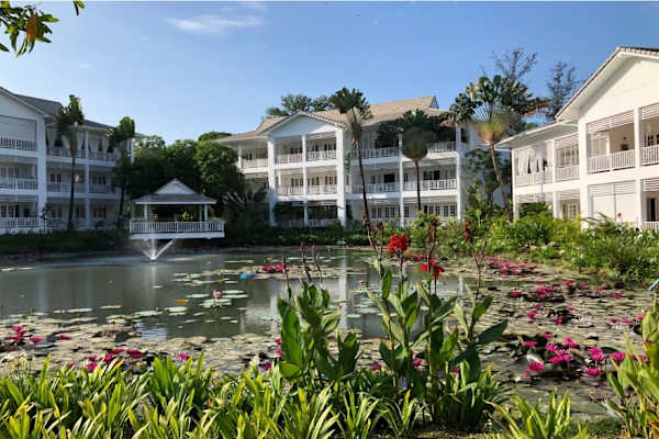 House sit in Phuket, Thailand