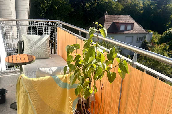 House sit in Olten, Switzerland
