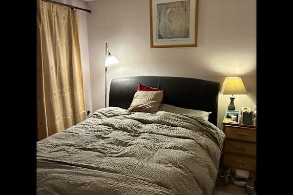 House sit in Bristol, United Kingdom