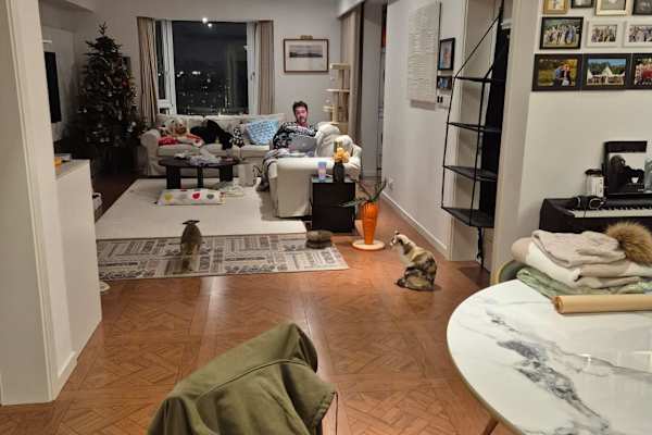 House sit in Shanghai, China