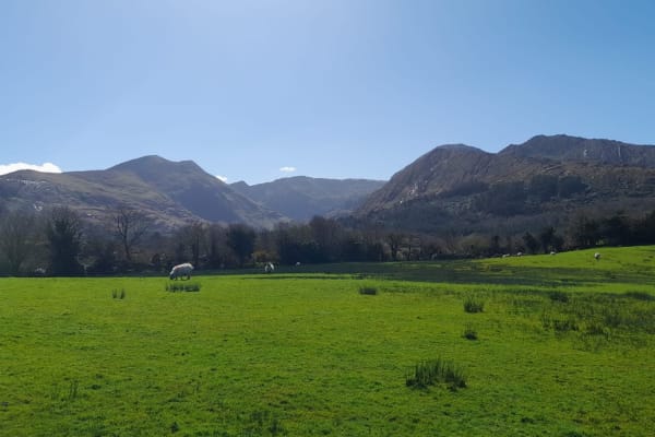 House sit in Kenmare, Ireland