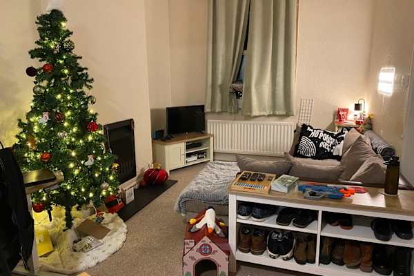 House sit in Basingstoke, United Kingdom