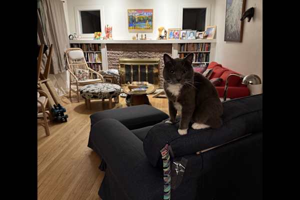 House sit in Salt Lake City, UT, US