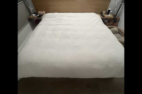 House sit in Darwin, Northern Territory, Australia