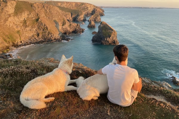 House sit in Newquay, United Kingdom