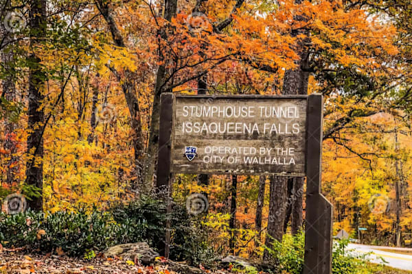 House sit in Walhalla, SC, US