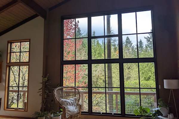 House sit in Port Townsend, WA, US