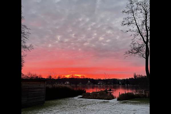House sit in Groß Köris, Germany