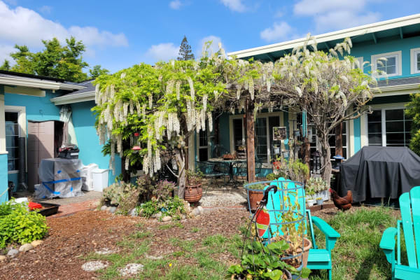 House sit in Lafayette, CA, US