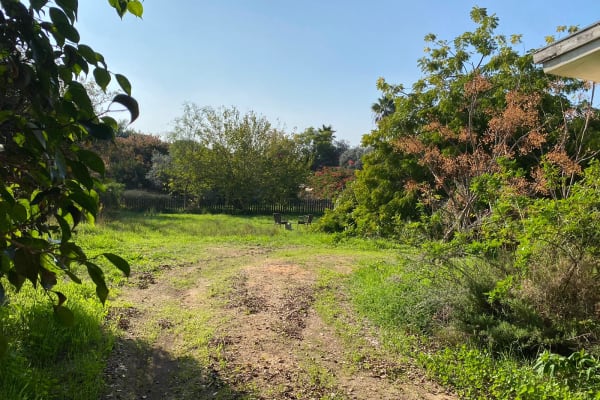 House sit in Pardés H̱anna Karkur, Israel