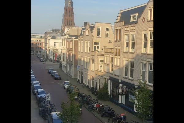 House sit in Scheveningen, Netherlands