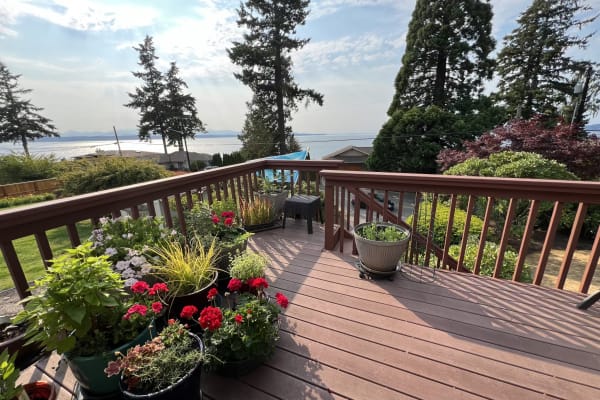 House sit in Edmonds, WA, US