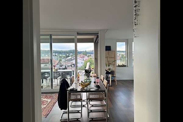House sit in Zürich, Switzerland