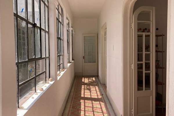 House sit in Mexico City, Mexico