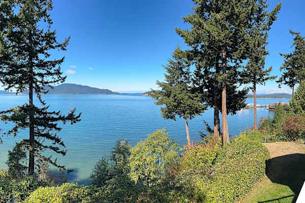 House sit in Anacortes, WA, US
