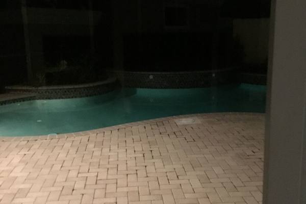 House sit in Sarasota, FL, US