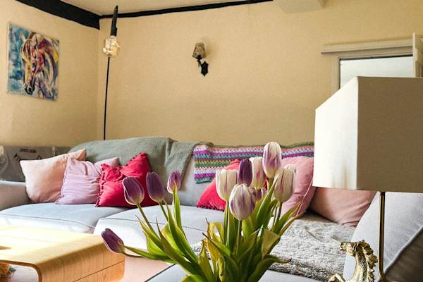 House sit in Brampton, United Kingdom