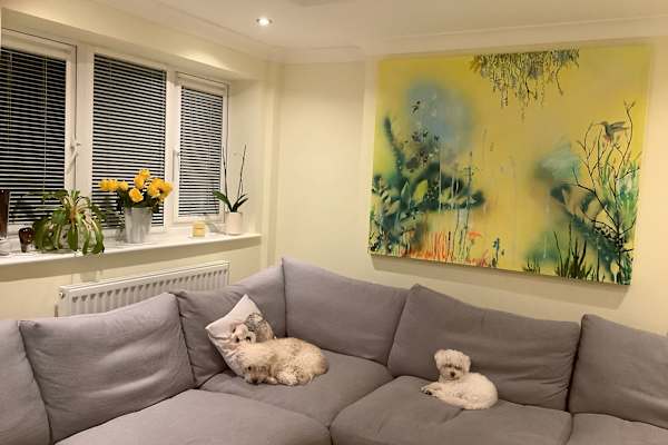 House sit in Liverpool, United Kingdom