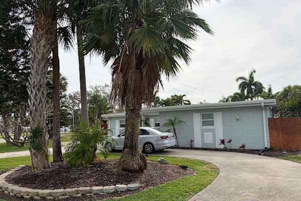 House sit in St. Petersburg, FL, US