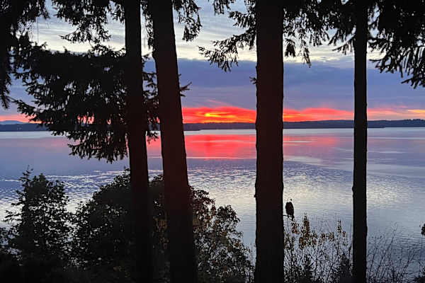 House sit in Gig Harbor, WA, US