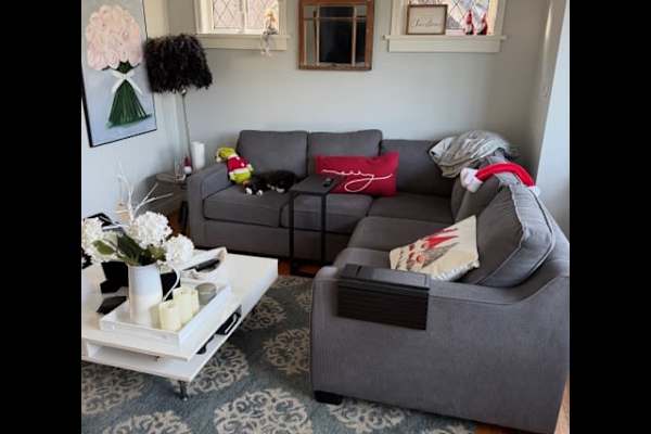 House sit in Vancouver, BC, Canada