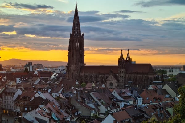 House sit in Freiburg, Germany