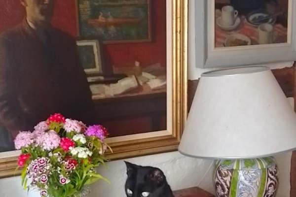 House sit in Hastings, United Kingdom