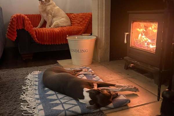 House sit in Buxhall, United Kingdom