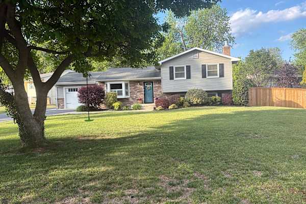 House sit in Annapolis, MD, US